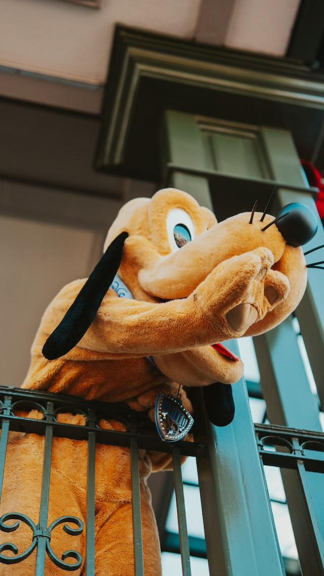 Pluto kostuum in Walt Disney World Orlando