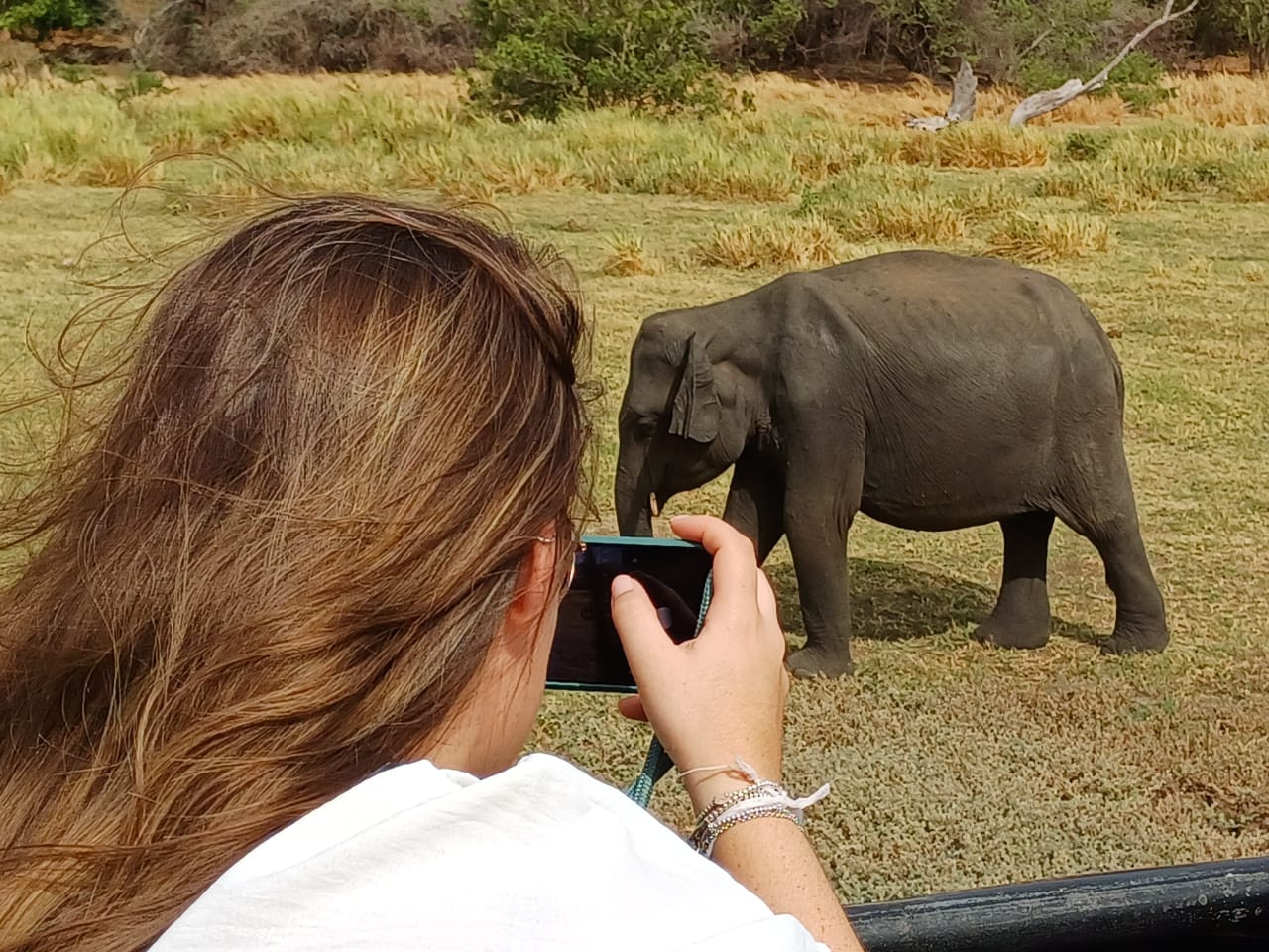 reisadviseur met babyolifant