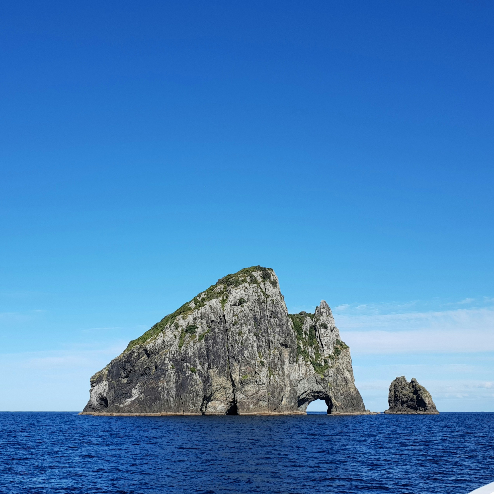 Elephant Rock in Bay of Islands