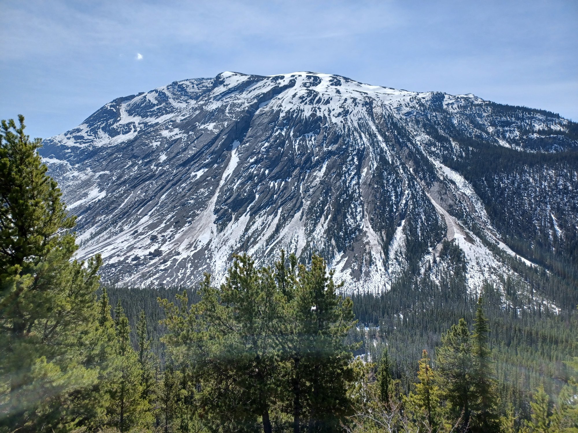 Bebossing en besneeuwde berg aan de Icefields Parkway