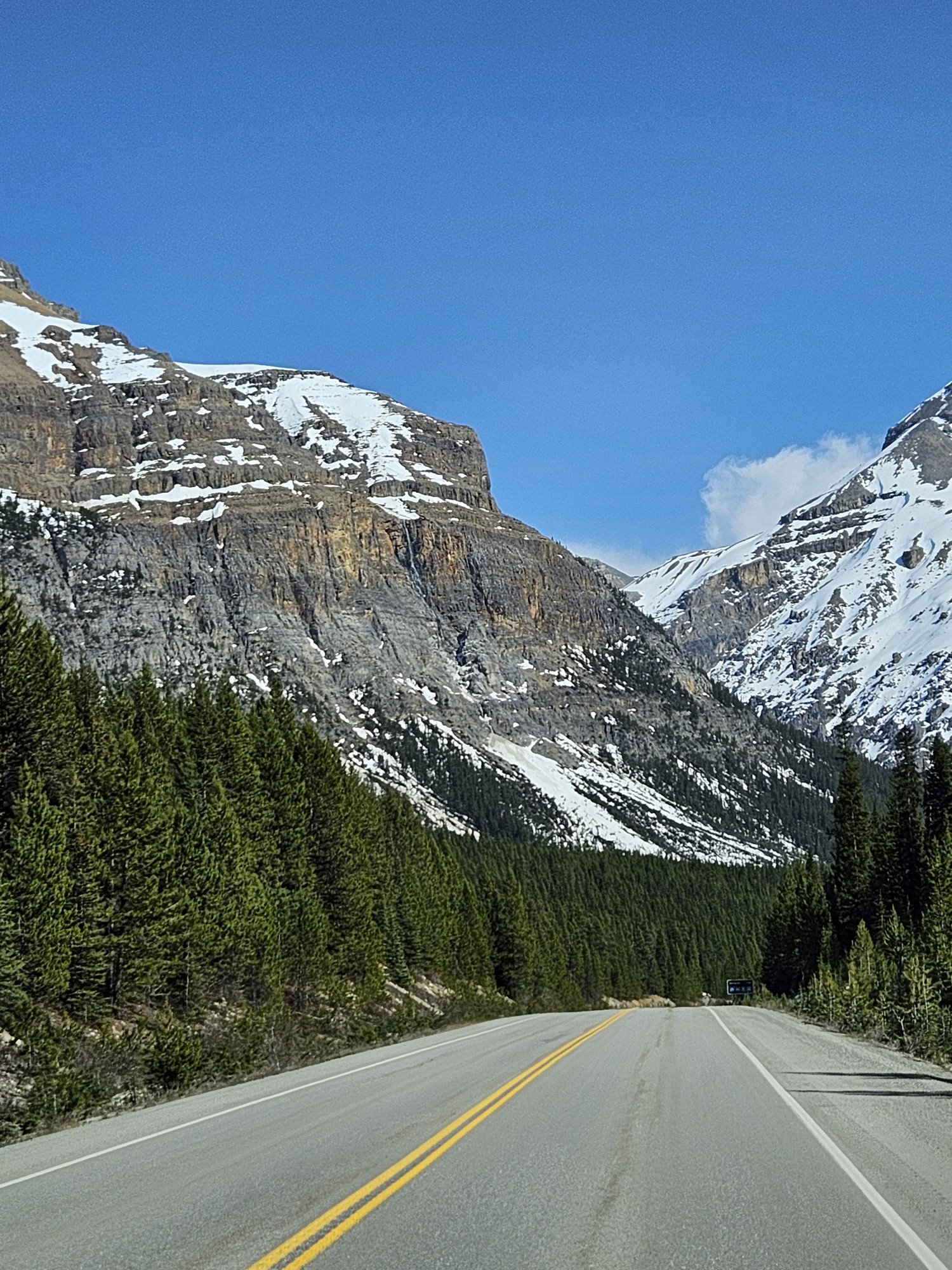 Bebossing en Bergen langs de weg van de Icefields Parkway