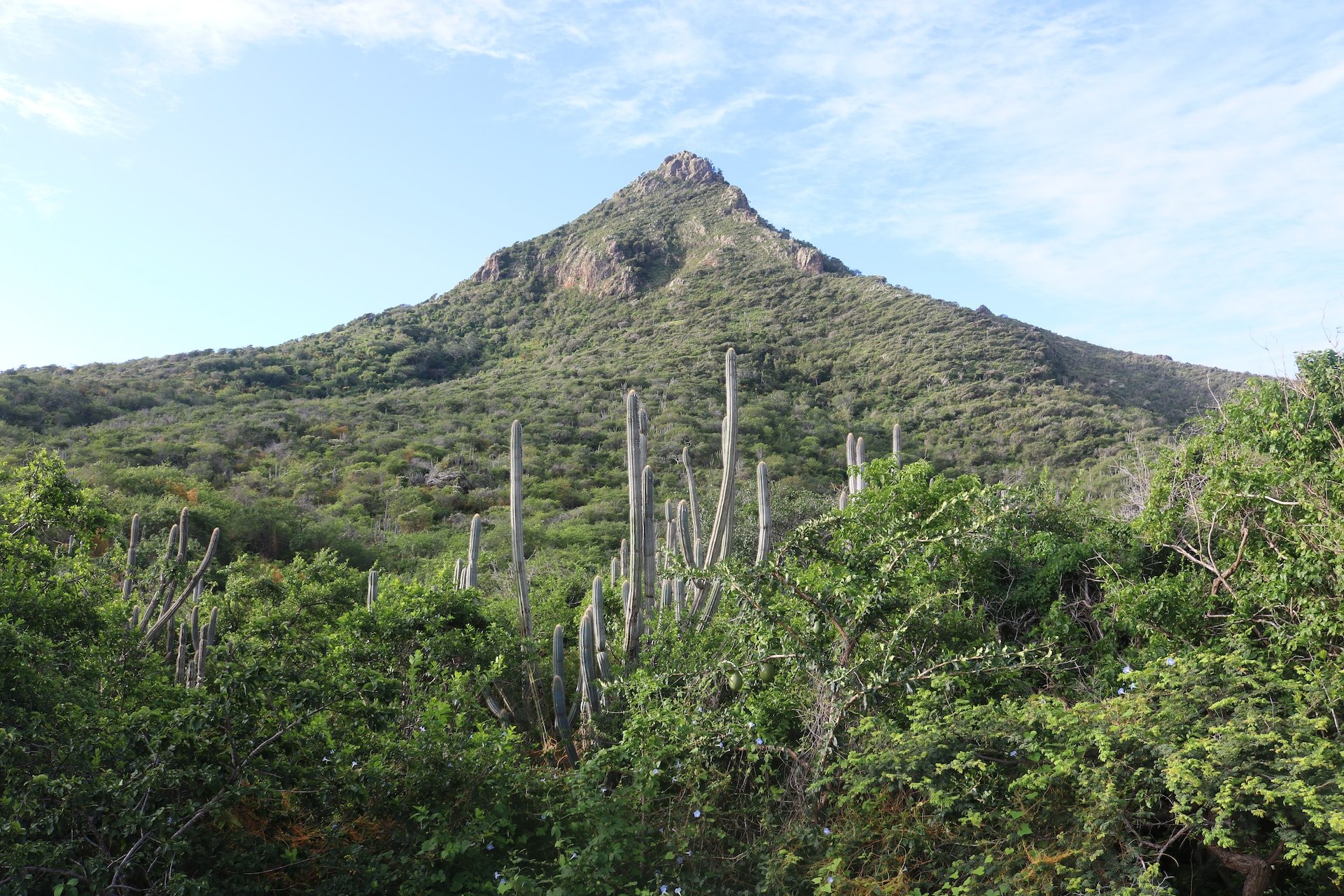 Christoffelberg in Curaçao