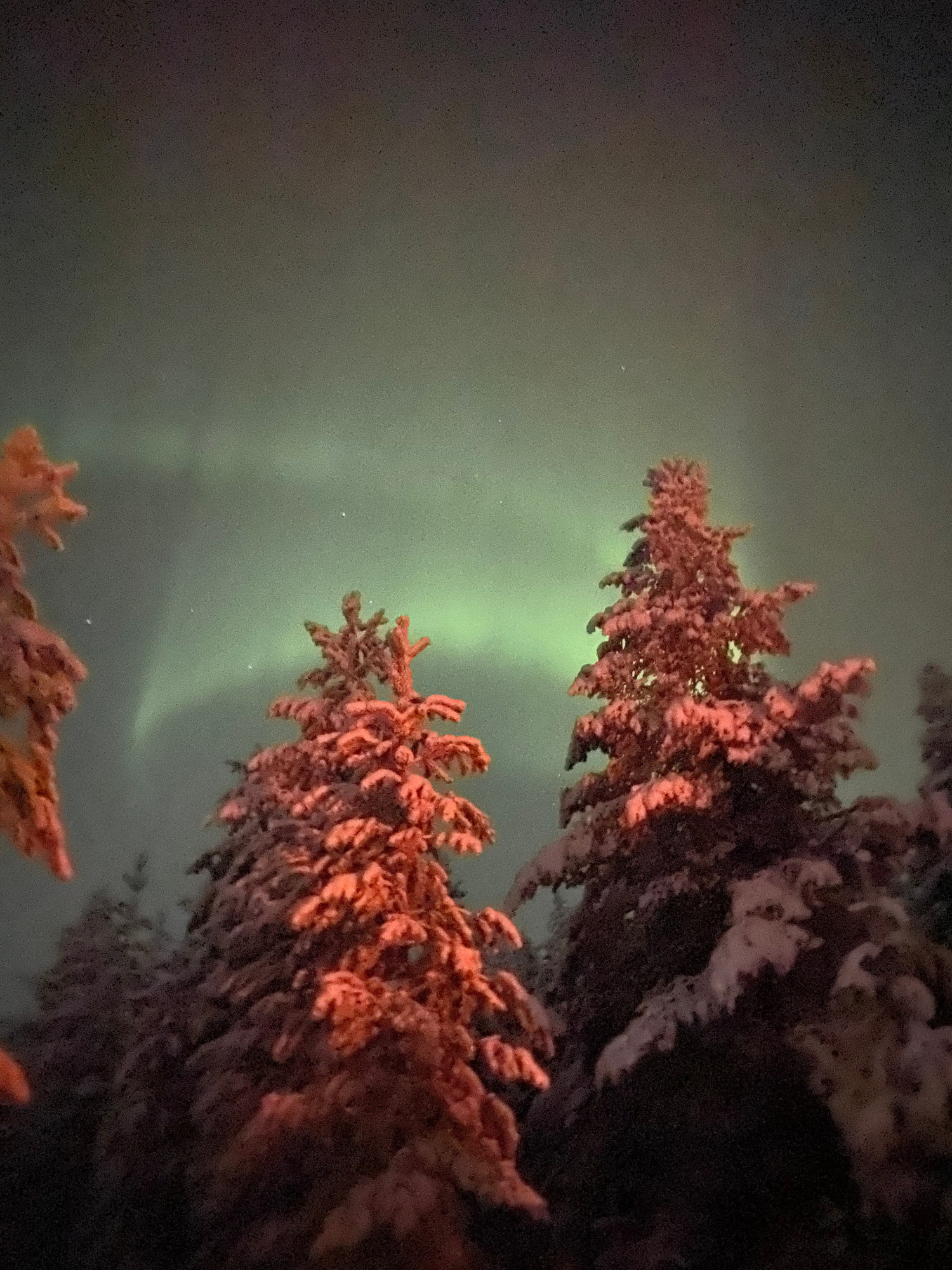 Noorderlicht in Lapland