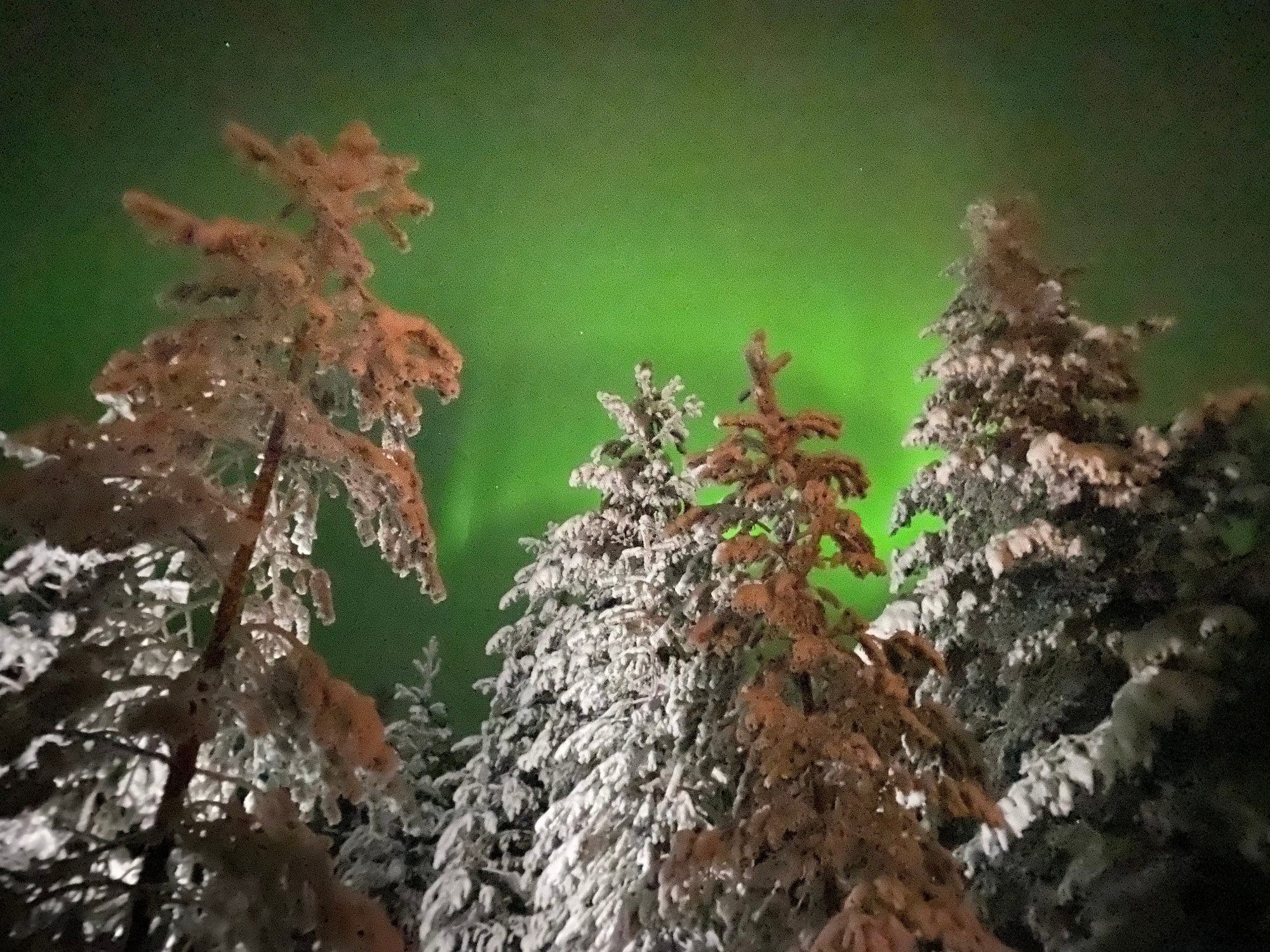 Noorderlicht in Lapland