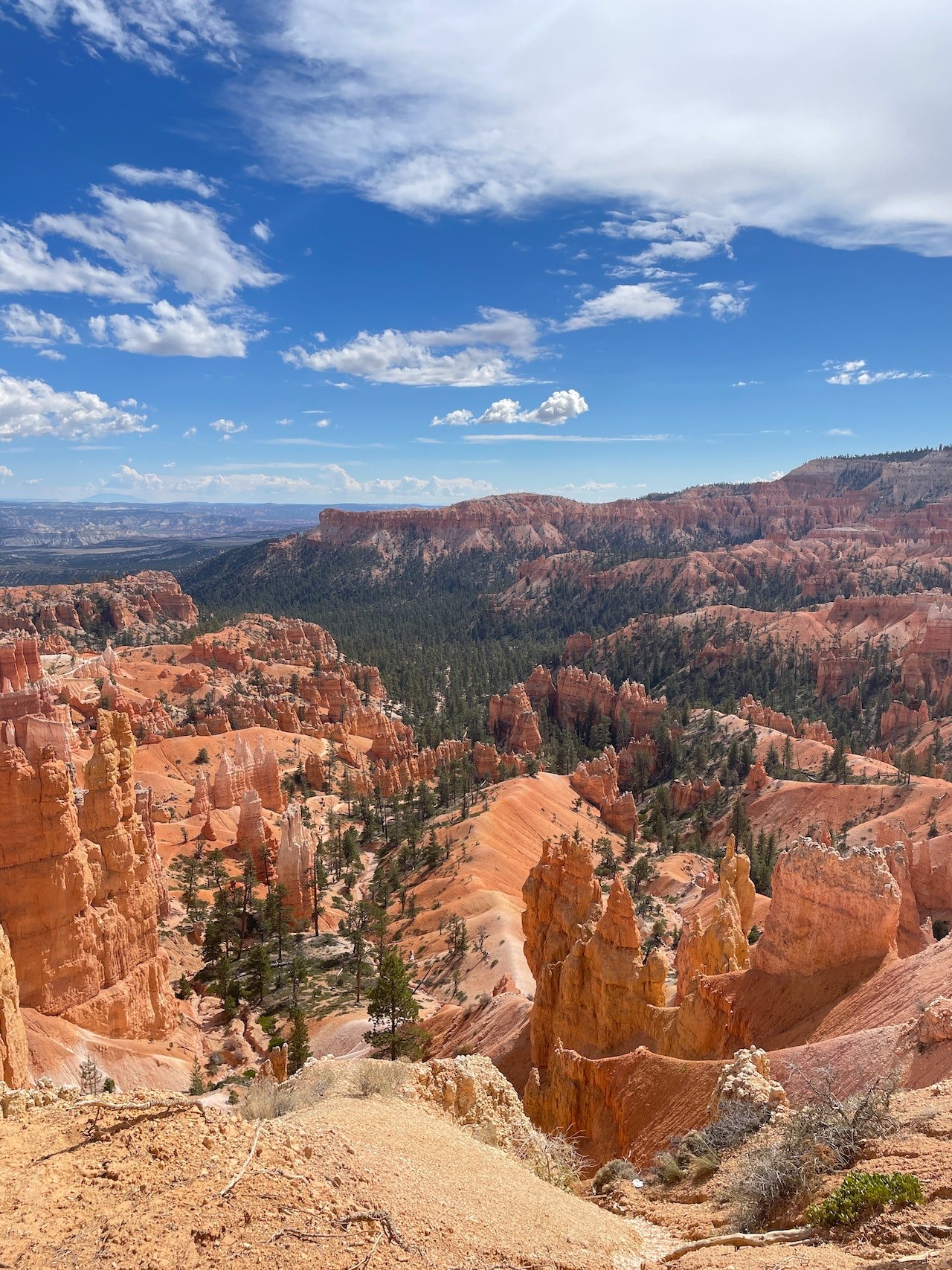 Uitzicht over het Bryce Canyon National Park