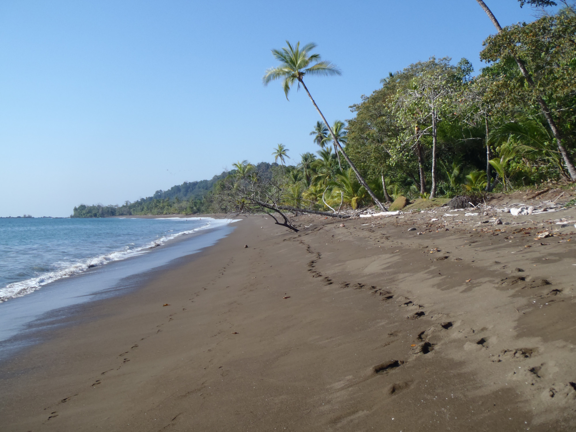 Corcovado National Park