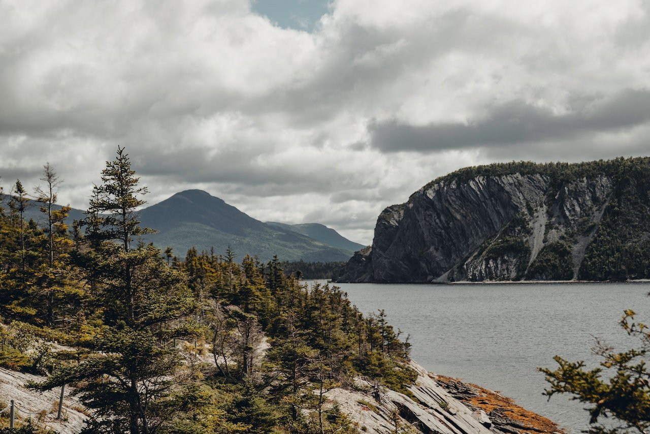 Rotsen en bergen met groene fauna in Gros Morne National Park, Canada