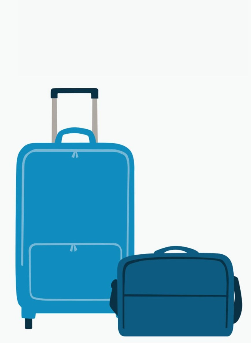 Bagage KLM