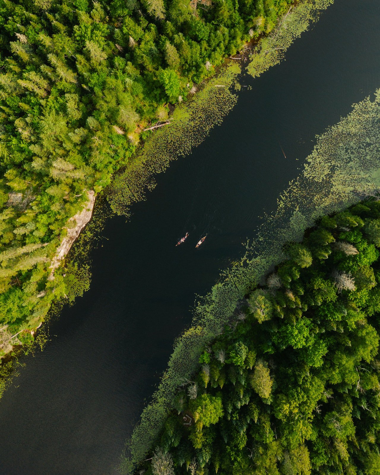 Algonquin Park in Canada