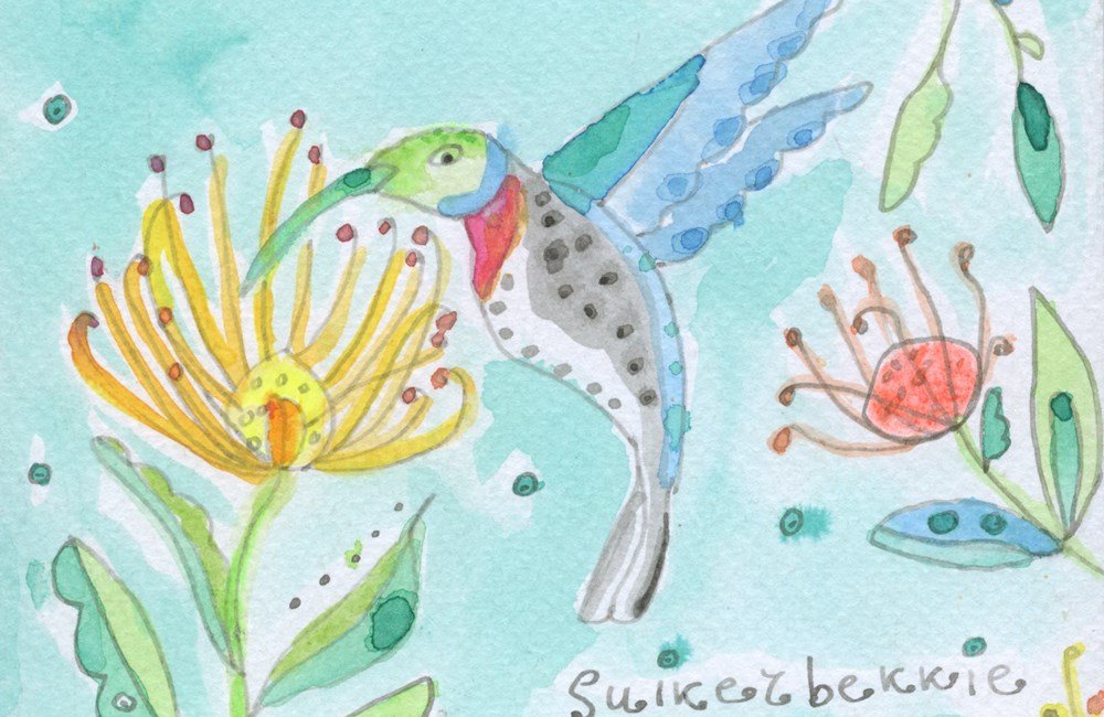 Tekening van suikerbekkie in Zuid-Afrika