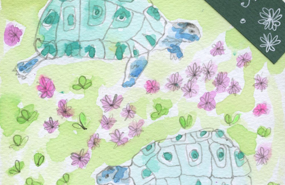 Tekening van schildpad en bloemen in Zuid-Afrika