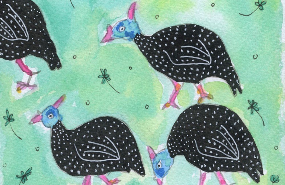 Exotische vogels in Zuid-Afrika