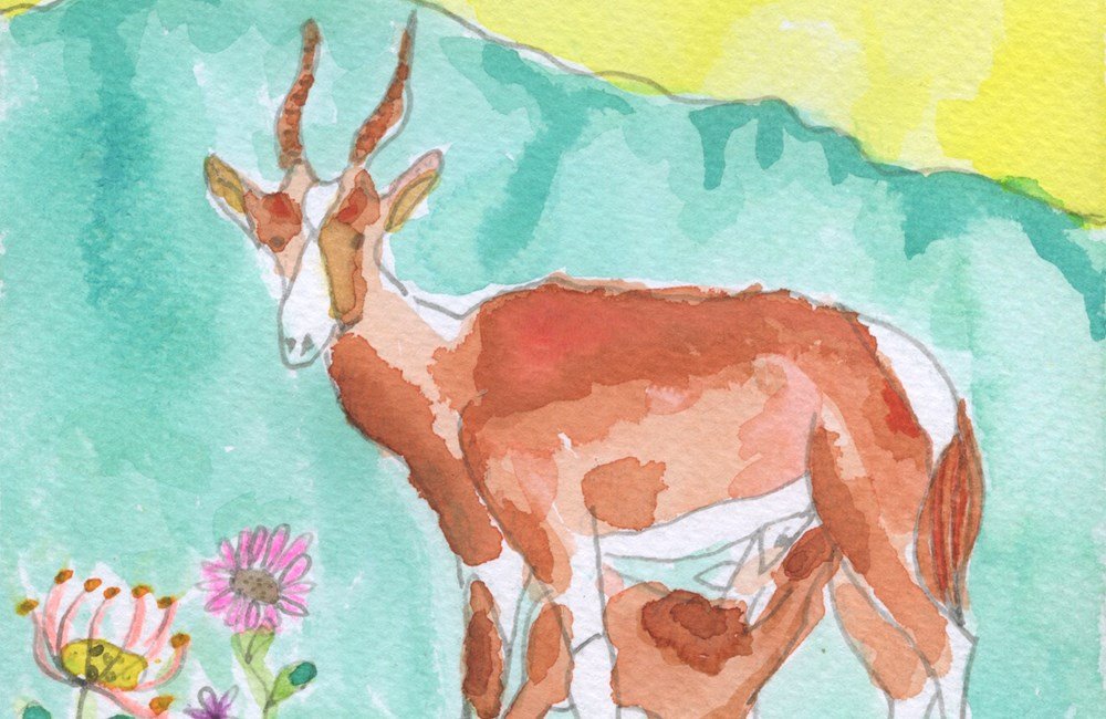 Tekening van antiloop in Zuid-Afrika