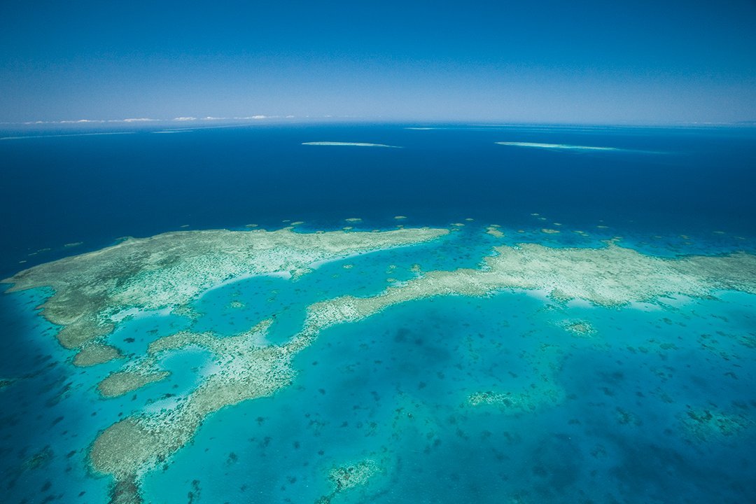 Rondreis Australië - Great Barrier Reef
