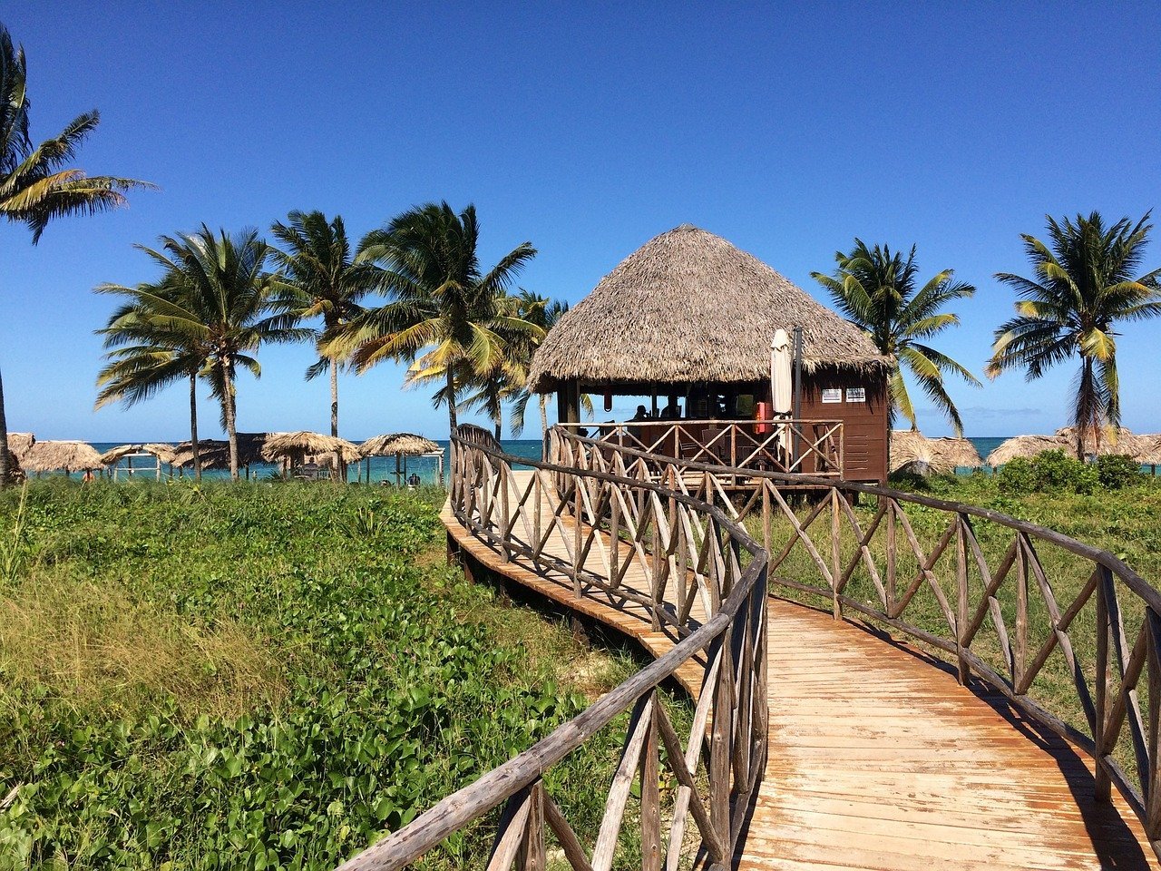 Vakantie Cuba - palmbomen met hutje