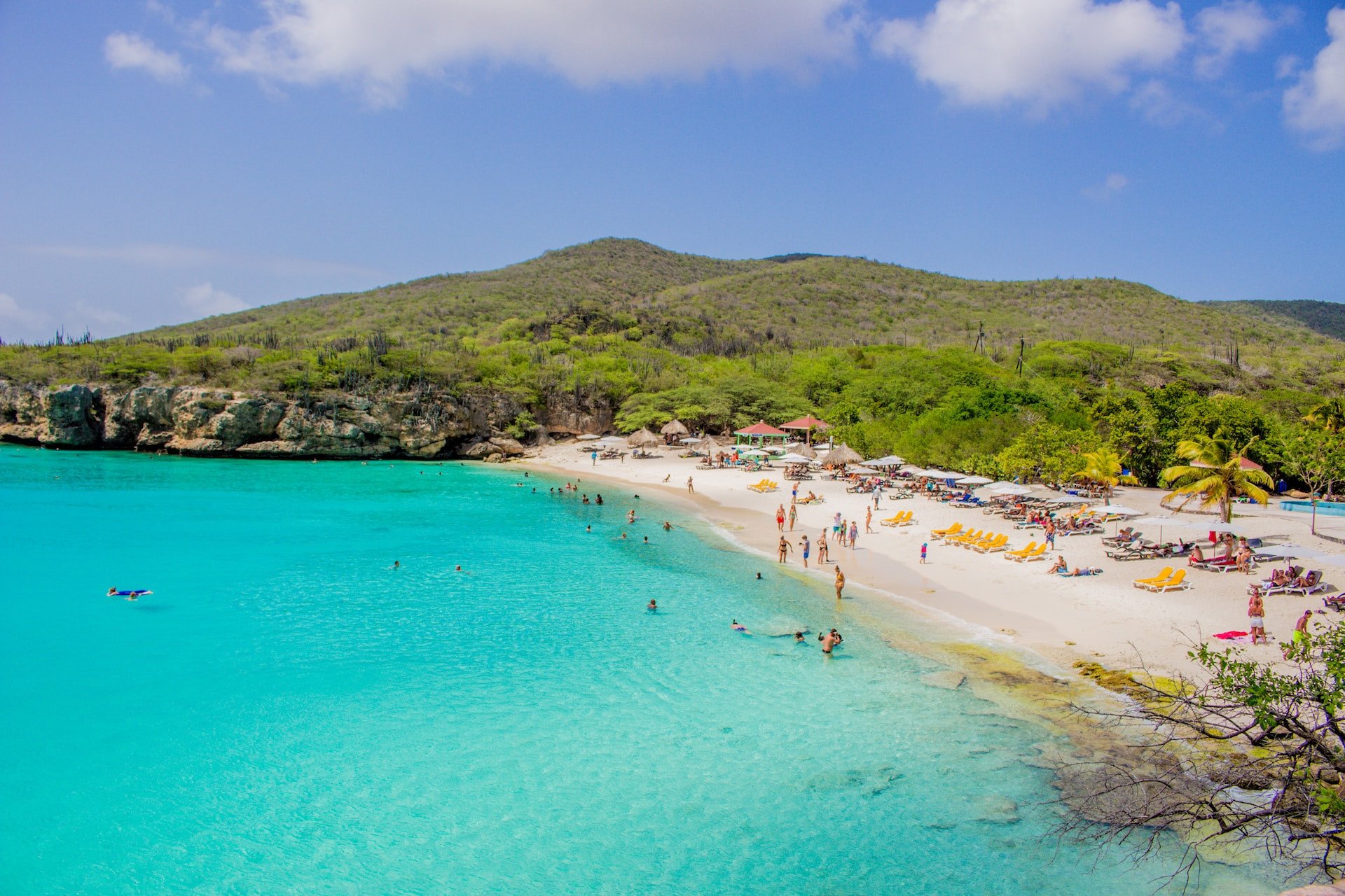 Grote Knip op Curaçao
