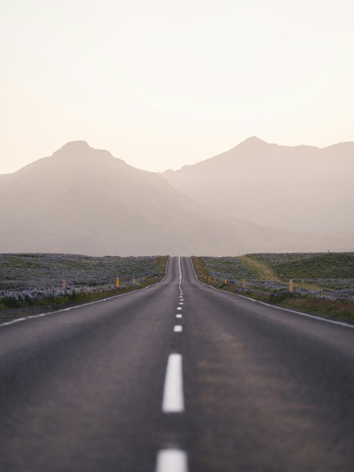 Autoweg in IJsland met bergen