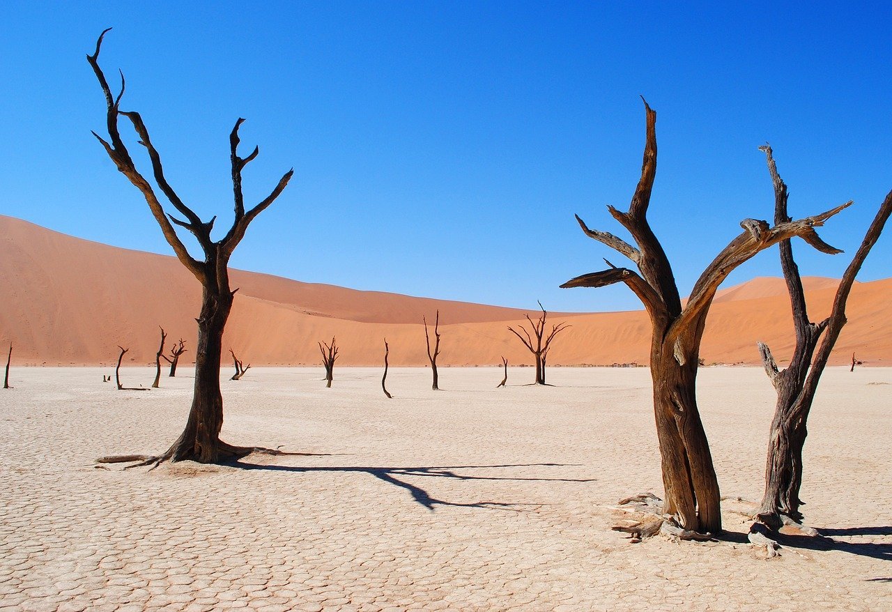 Deadvlei Namibië