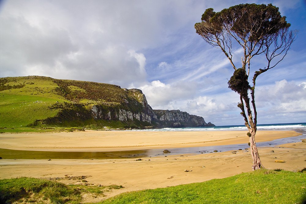 Nieuw-Zeeland Purakanui Bay