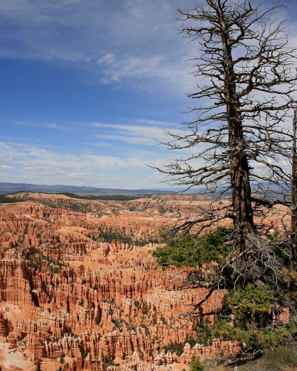 Bryce Canyon uitzicht, Amerika