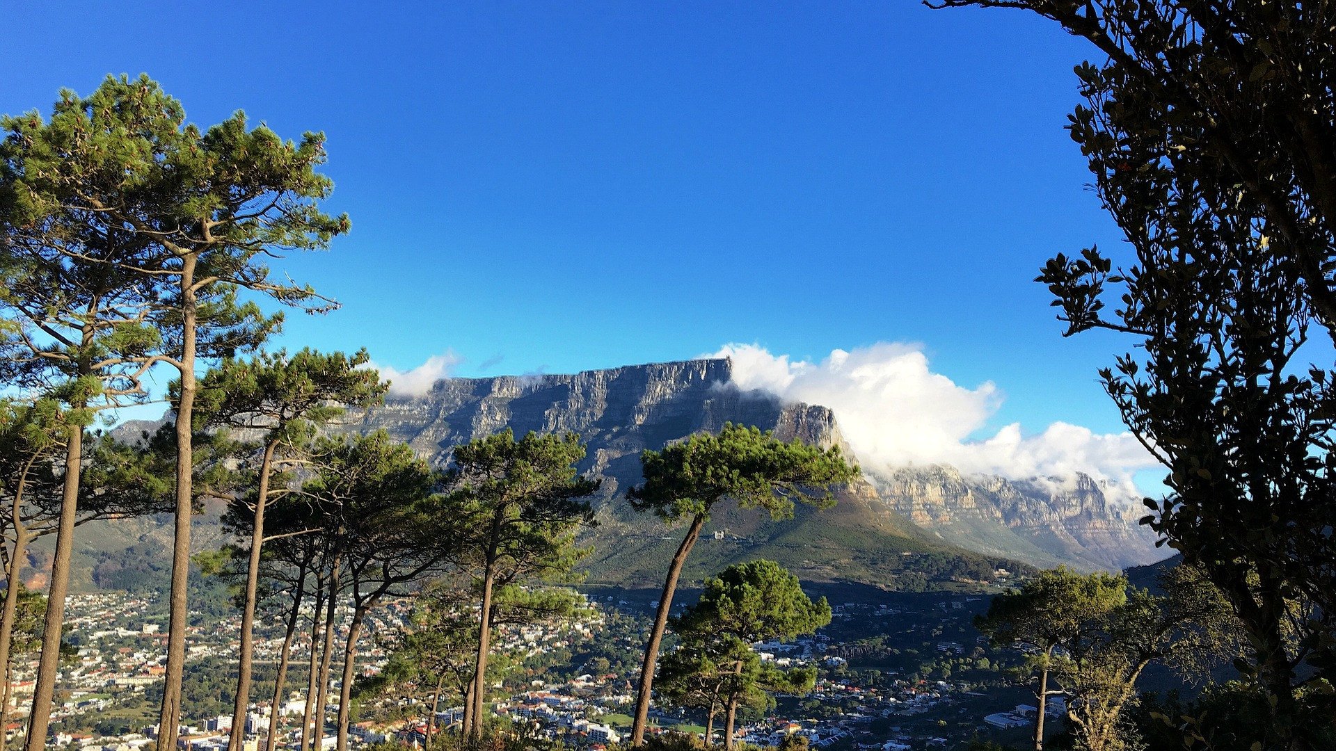 Kaapstad, Tafelberg uitzicht, Zuid-Afrika