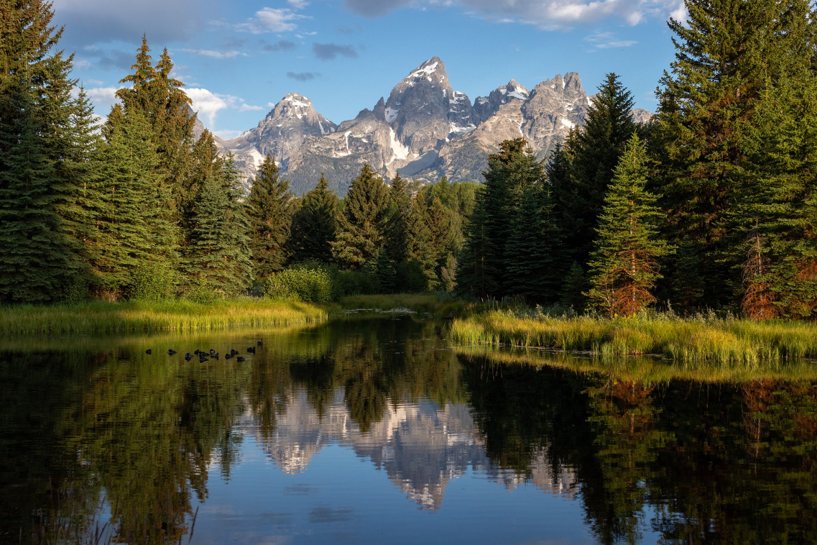 USA Grand Teton National Park meer