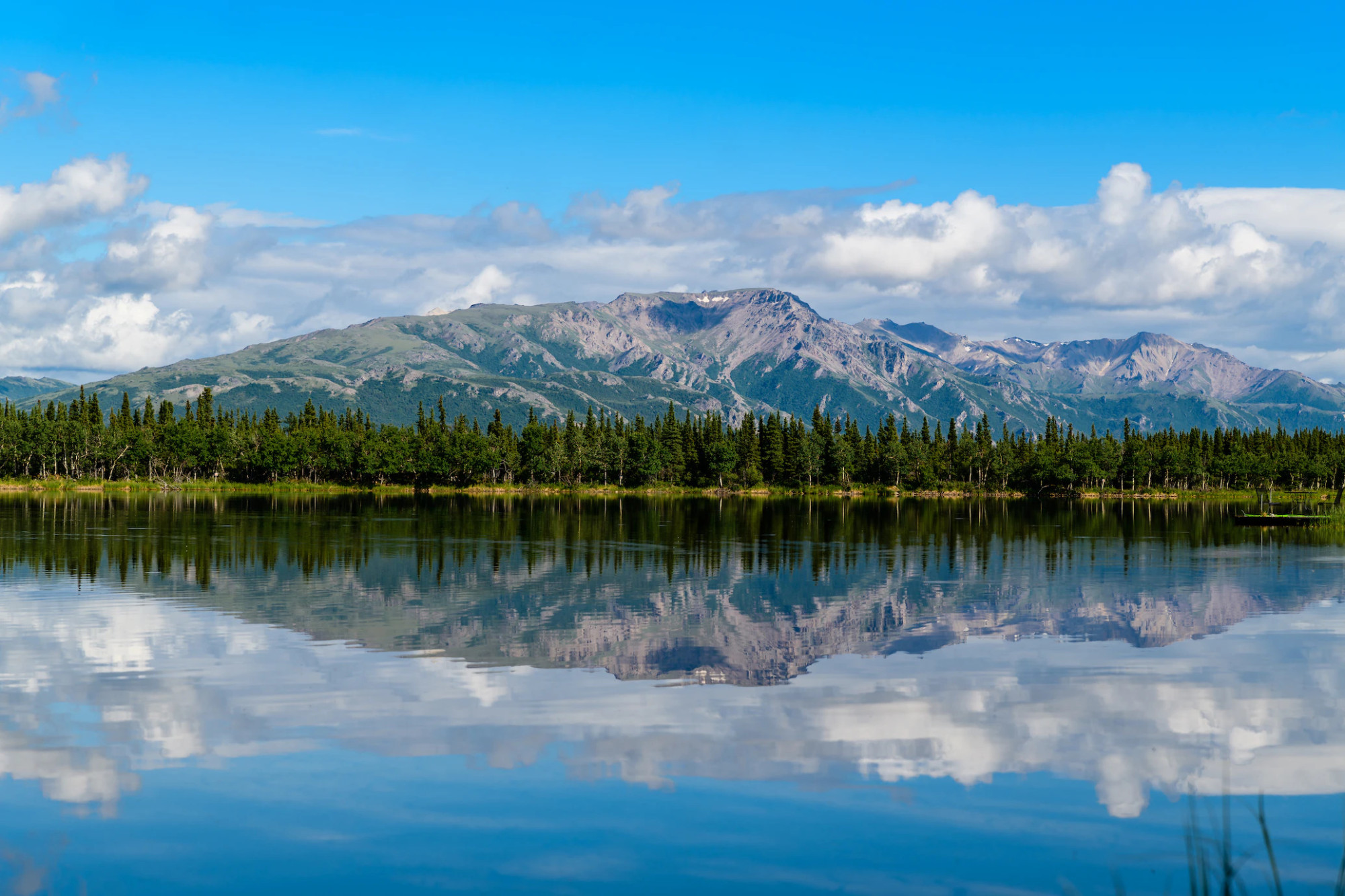Denali National Park Alaska USA natuur poolcirkel bergen bos meer