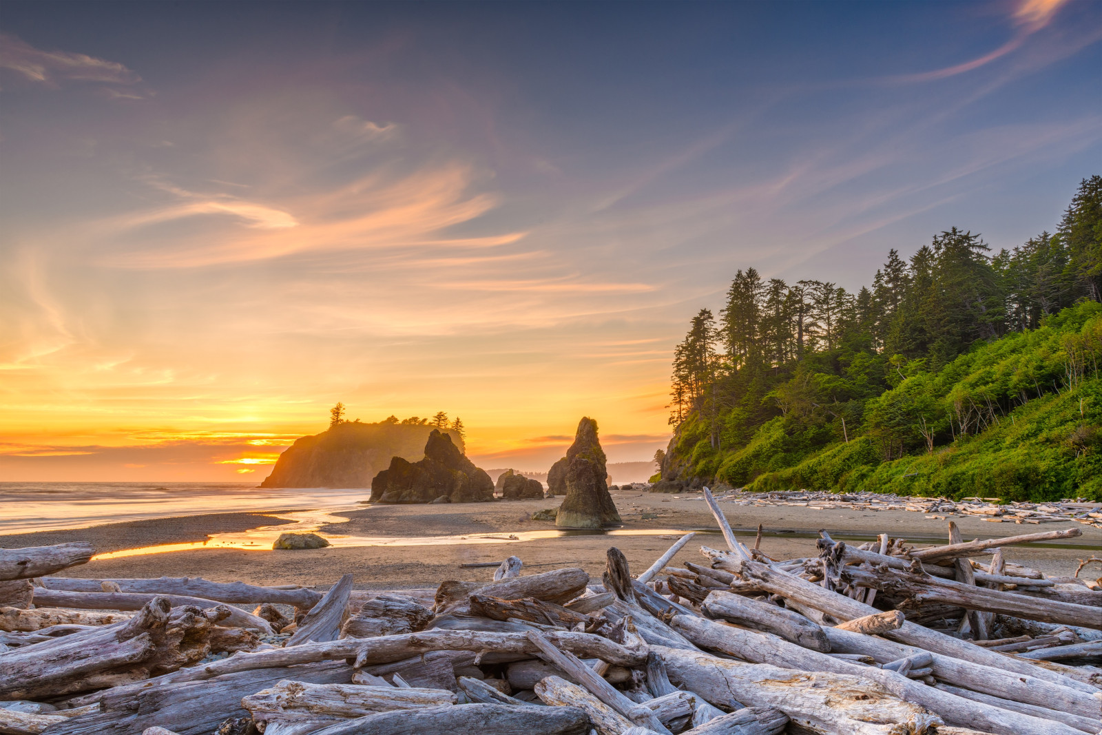 USA Olympic National Park Washington State