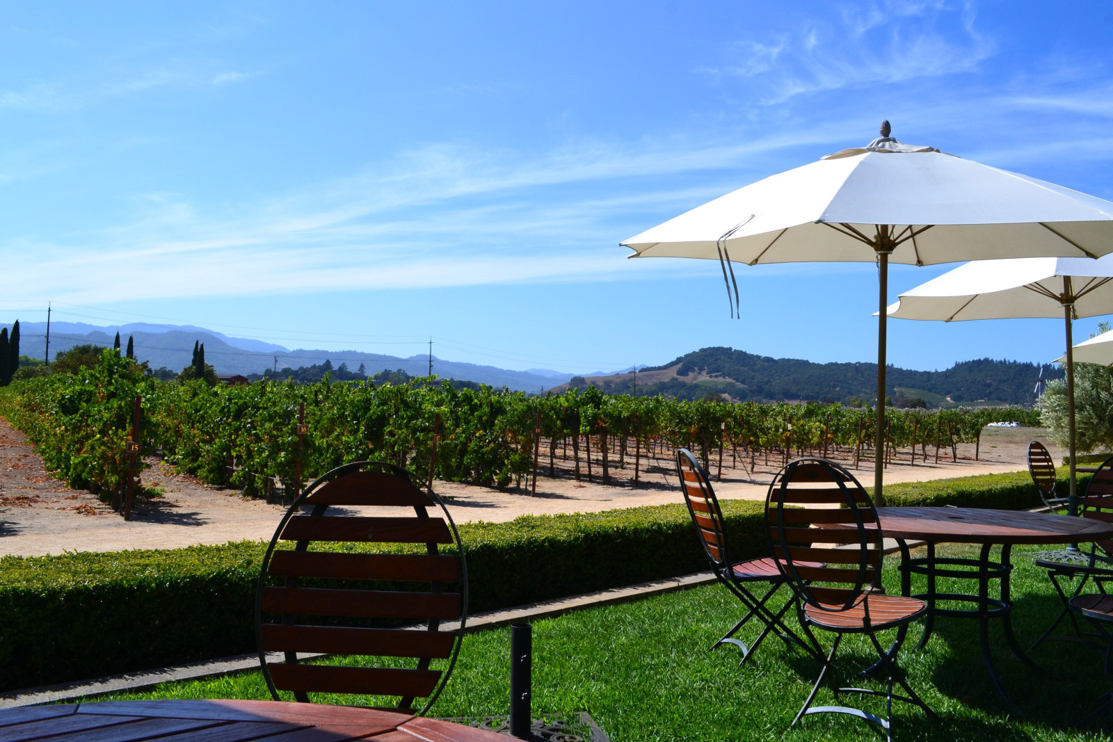 USA Californië wine country