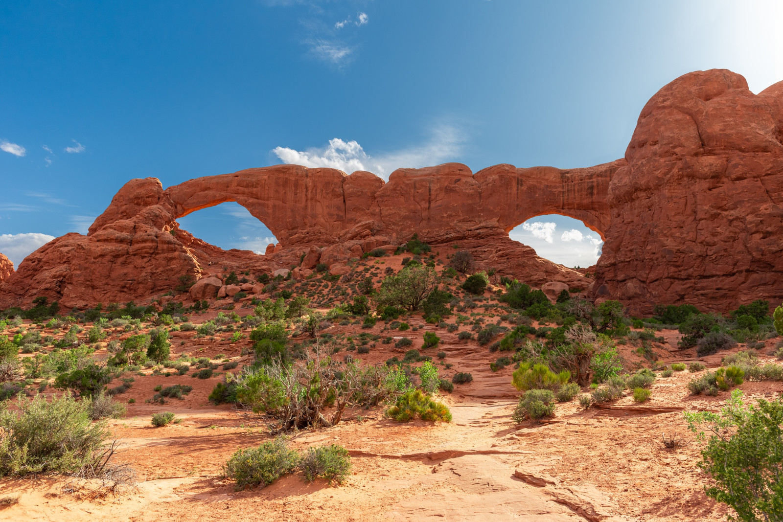 USA Arches National Park the Window