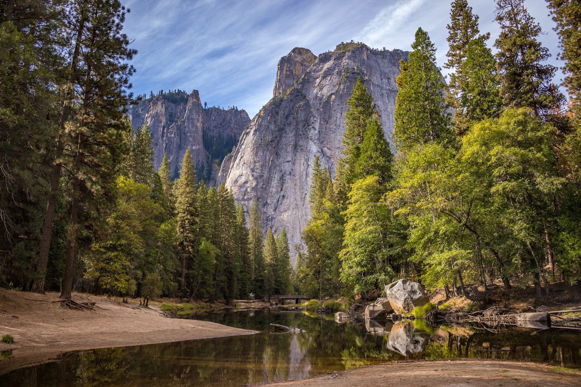 Sequoia bomen in West-Amerika