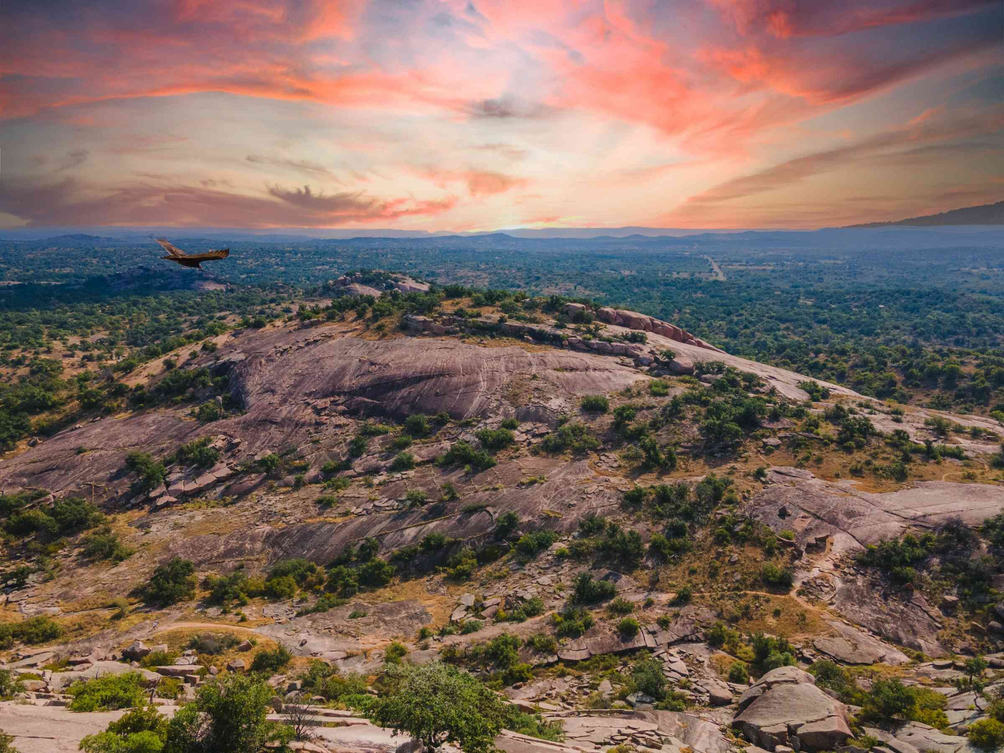 Uitzicht over de natuur in Texas