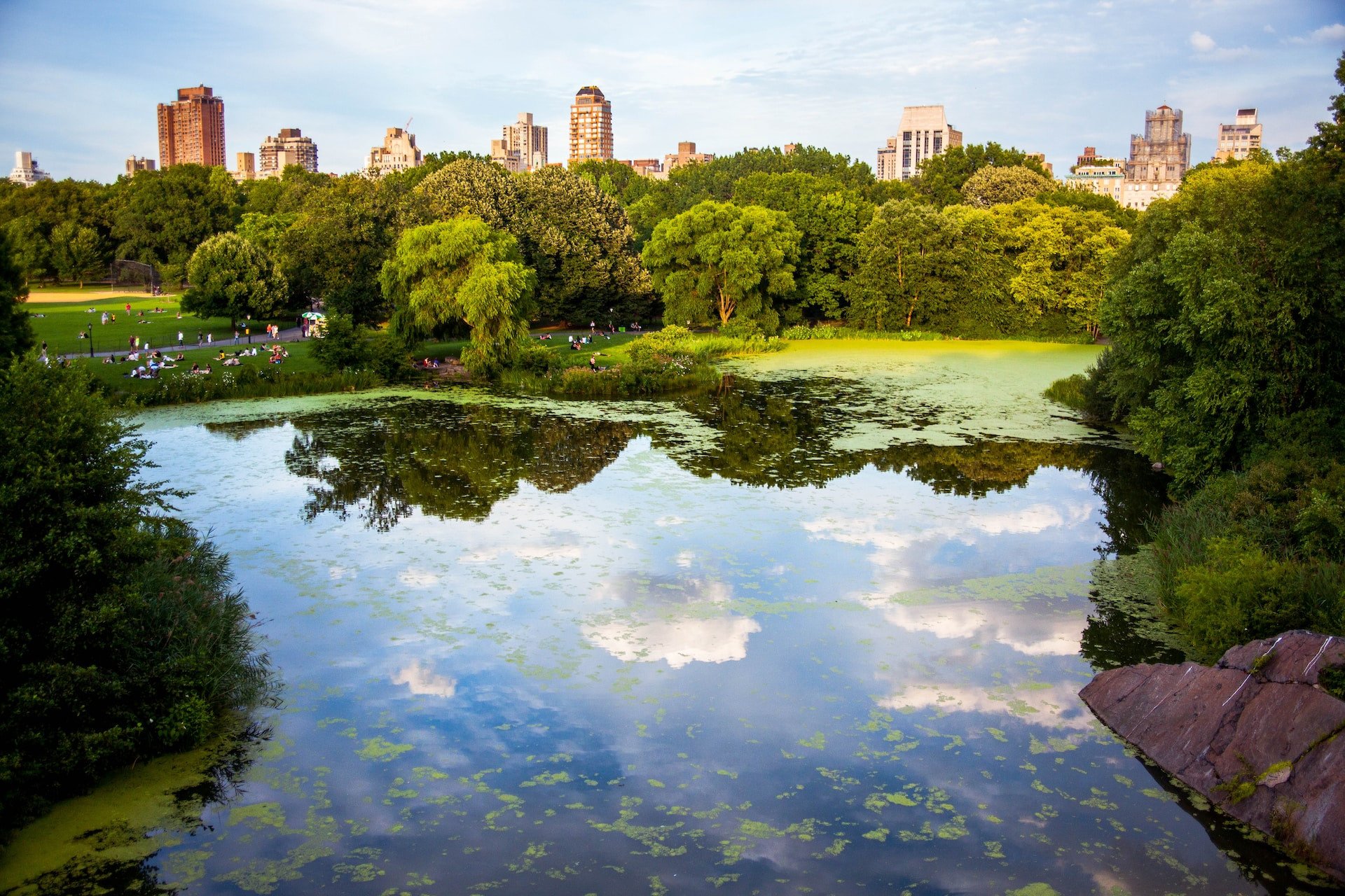 Skyline New York vanuit Central Park