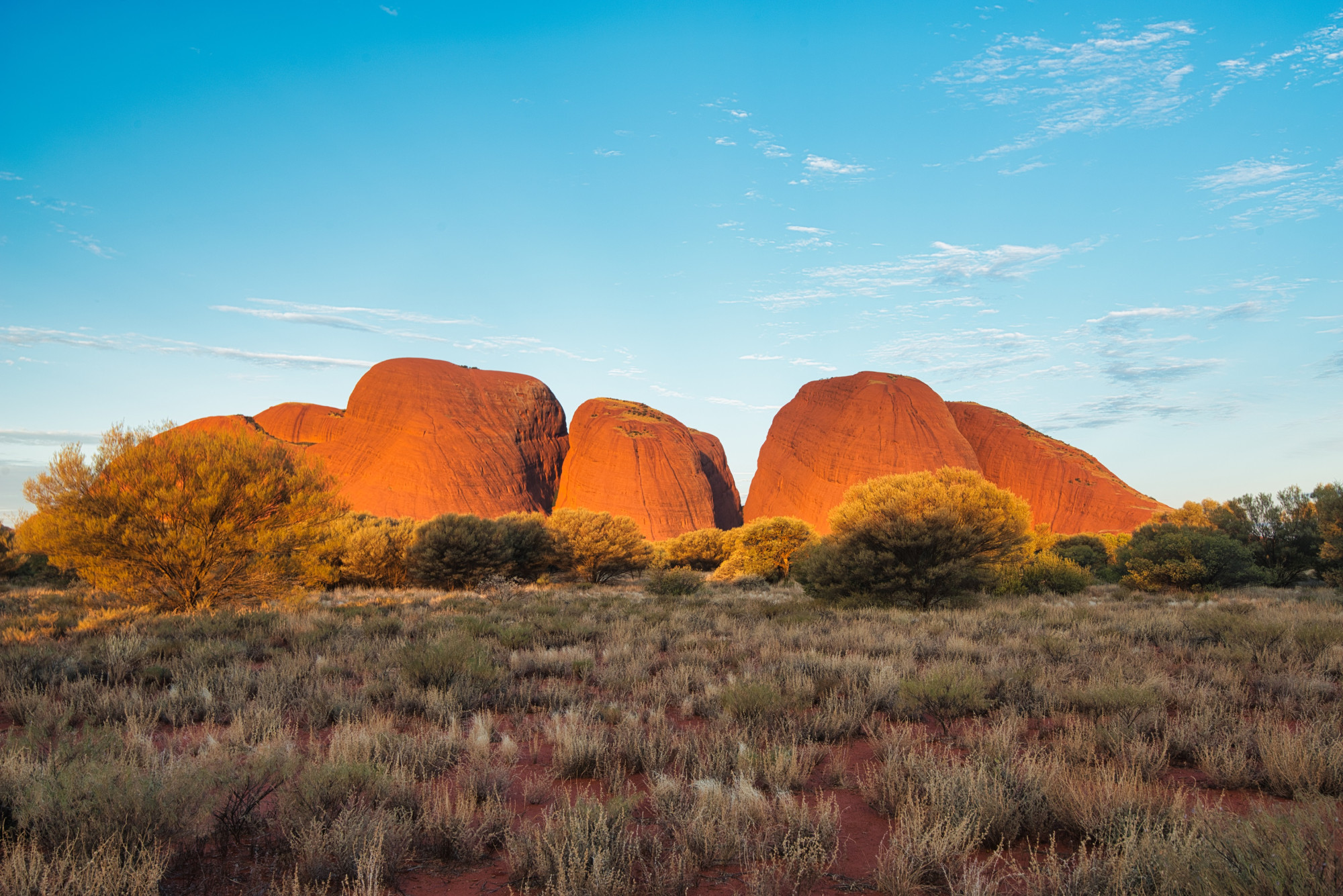 Australië Kata Tjuta Olgas