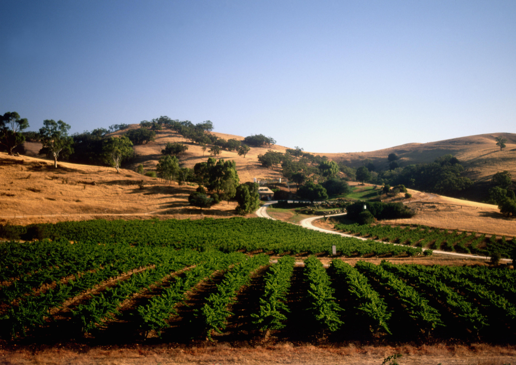 Barossa Valley, Australië