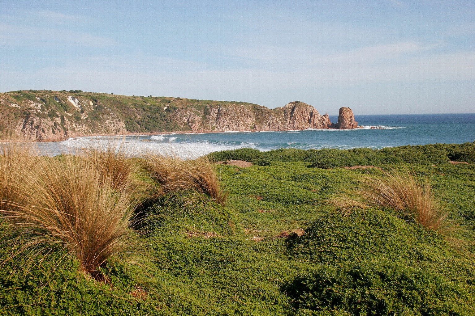 Philip Island Australië