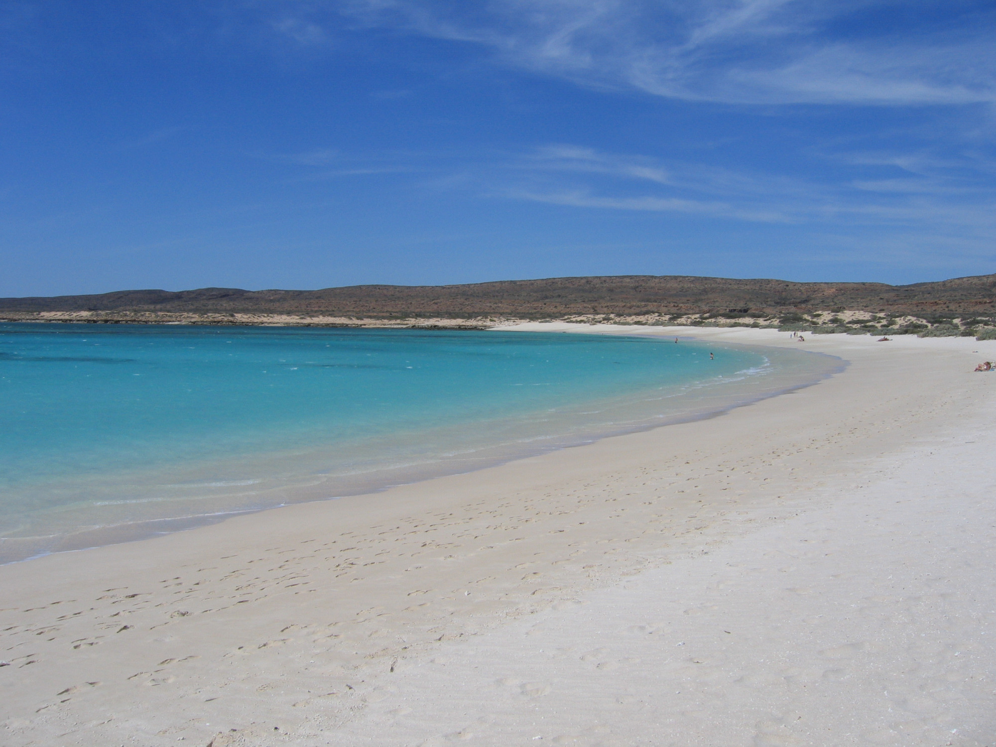 Australië Monkey Mia Shell Beach