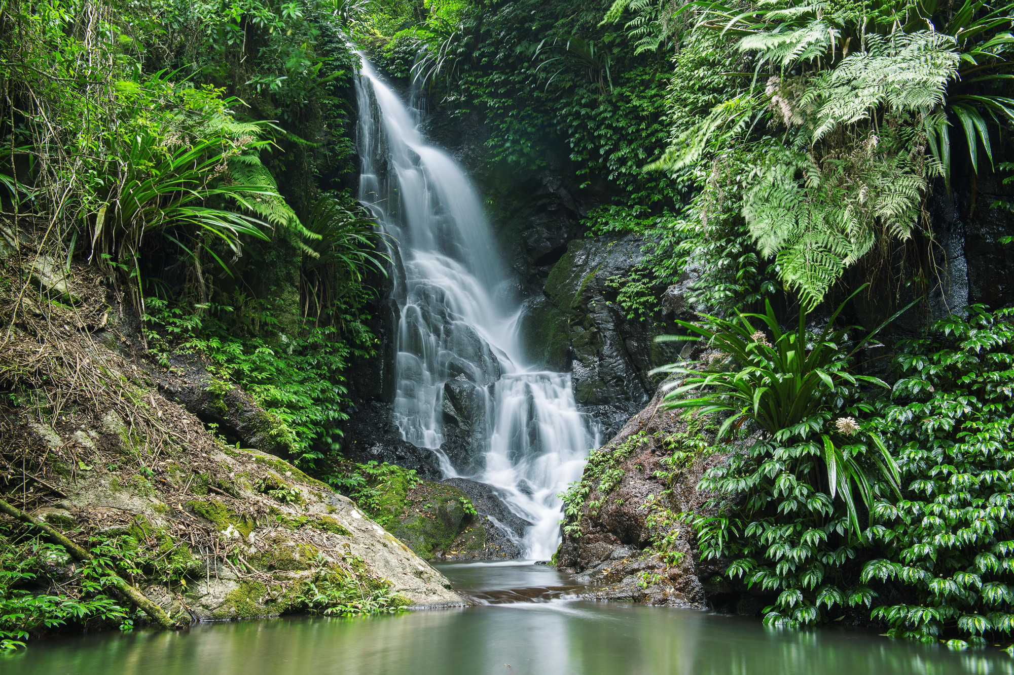 Waterval Lamington National Park