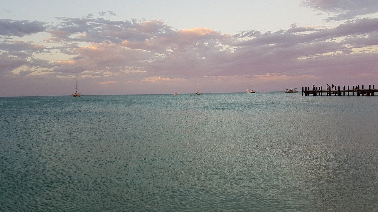 Monkey Mia - Australië