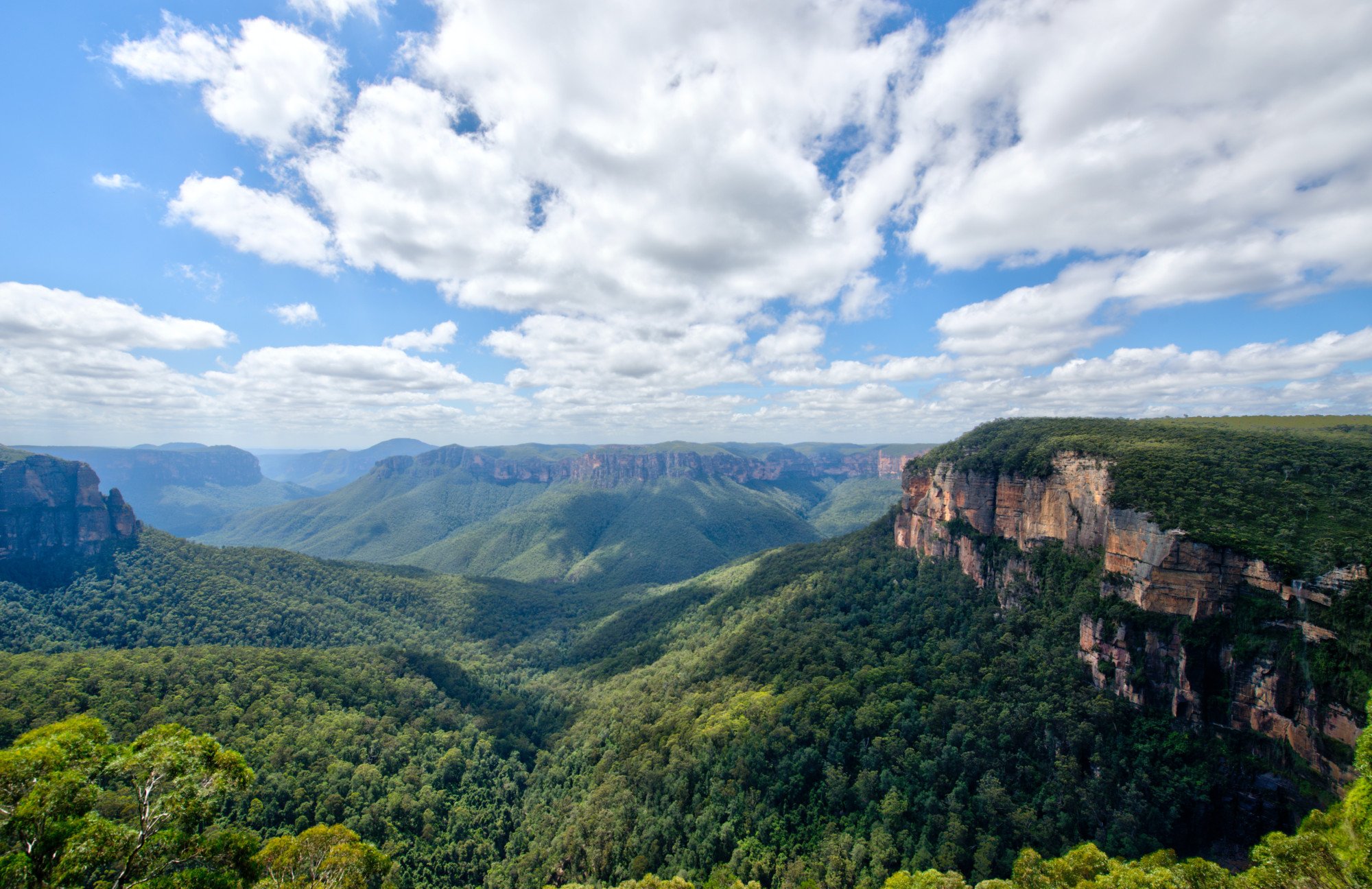 Blue Mountains - Australië
