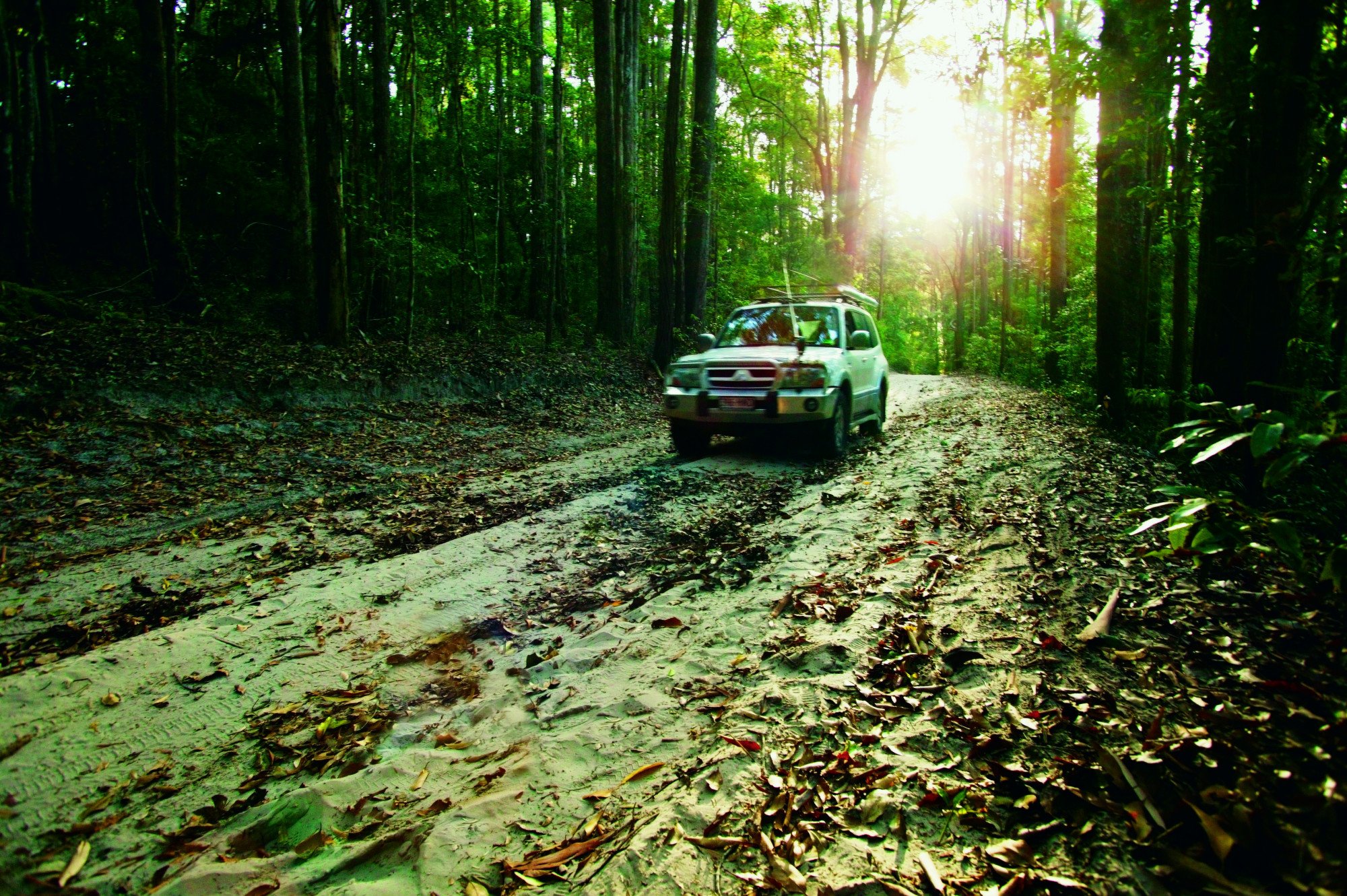 Fraser Island - Australië