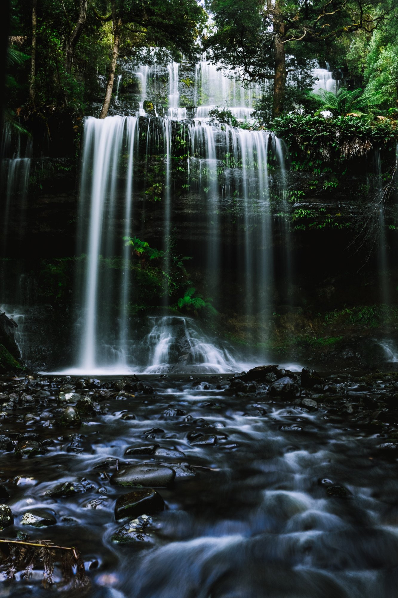 Russel Falls - Tasmanië - Australië