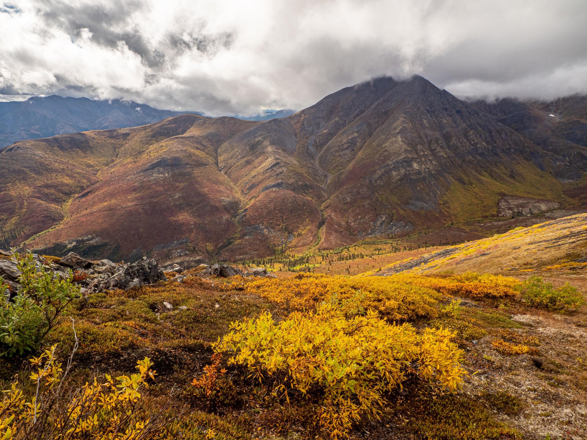 Tombstone Territorial Park - Yukon - Canada