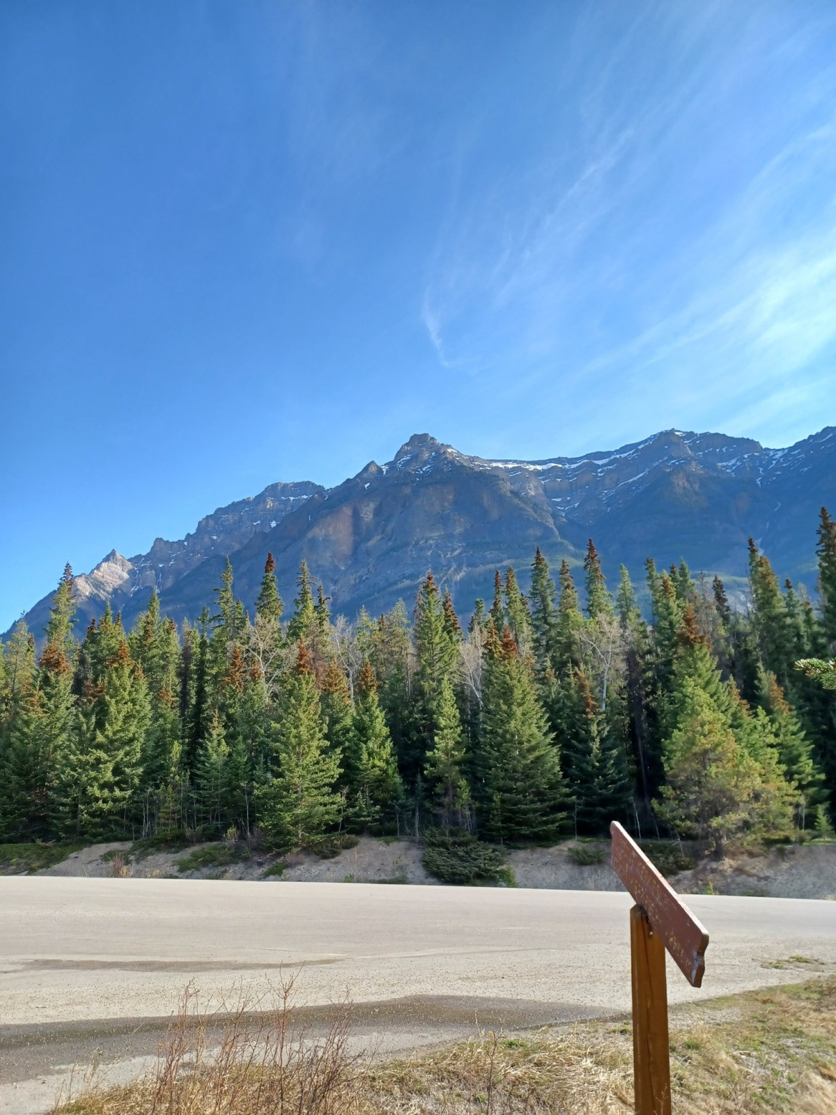 Bergtoppen langs de Icefields Parkway