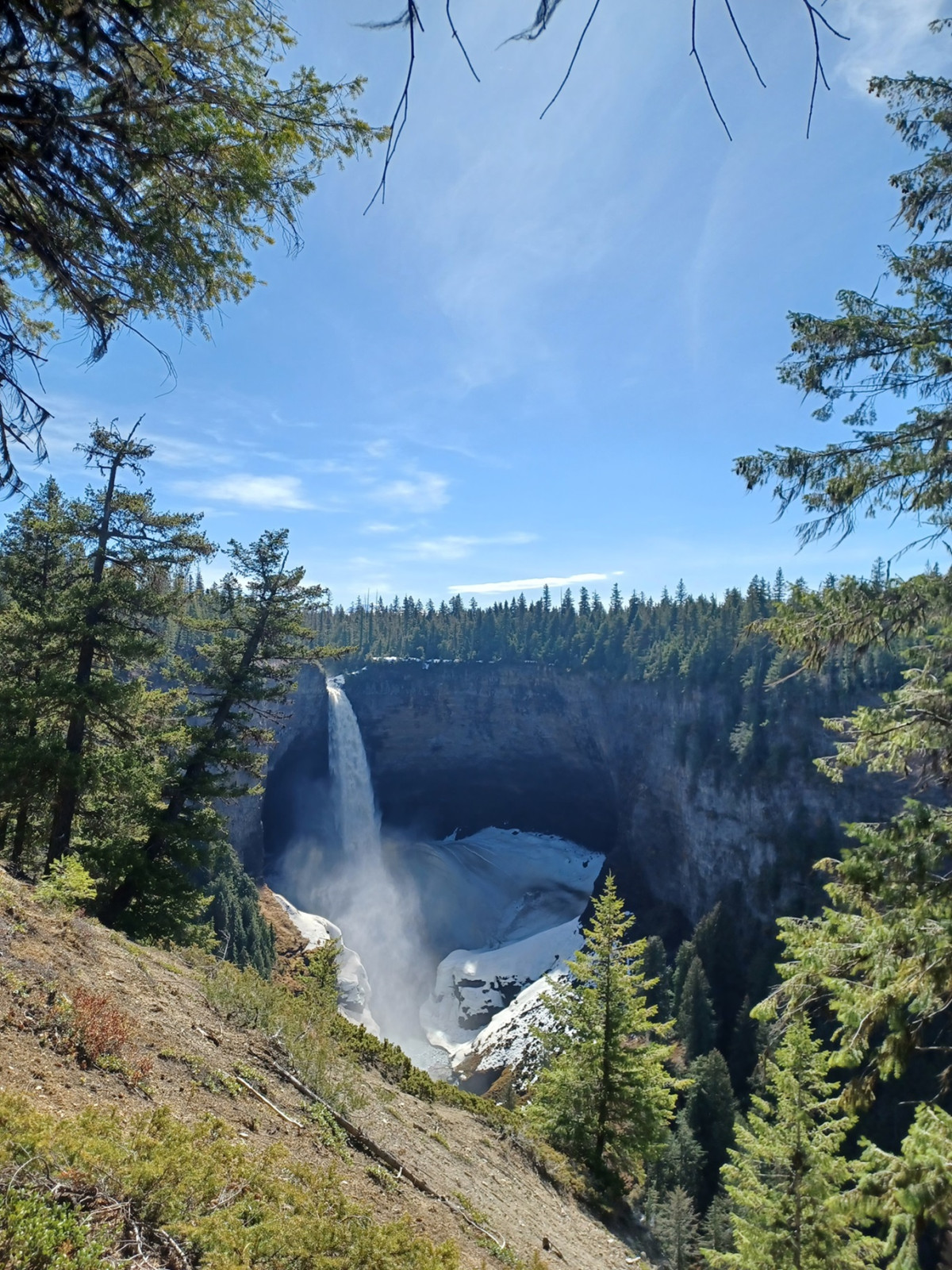Waterval bij Wells Gray
