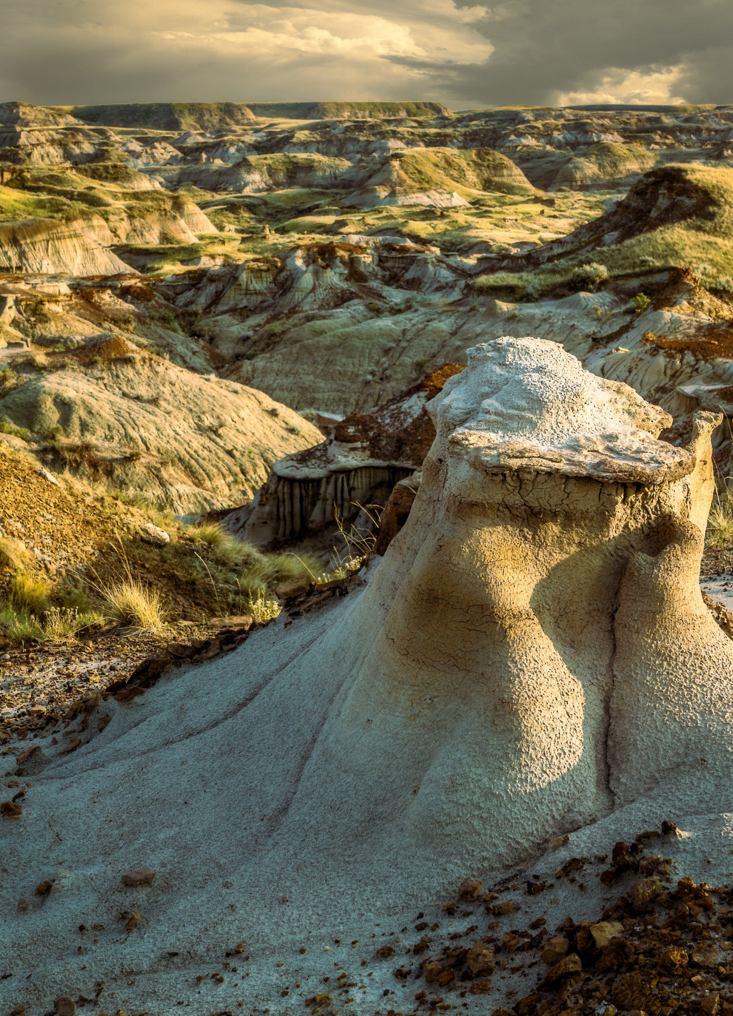 Dinosaur Provincial Park Alberta Canada
