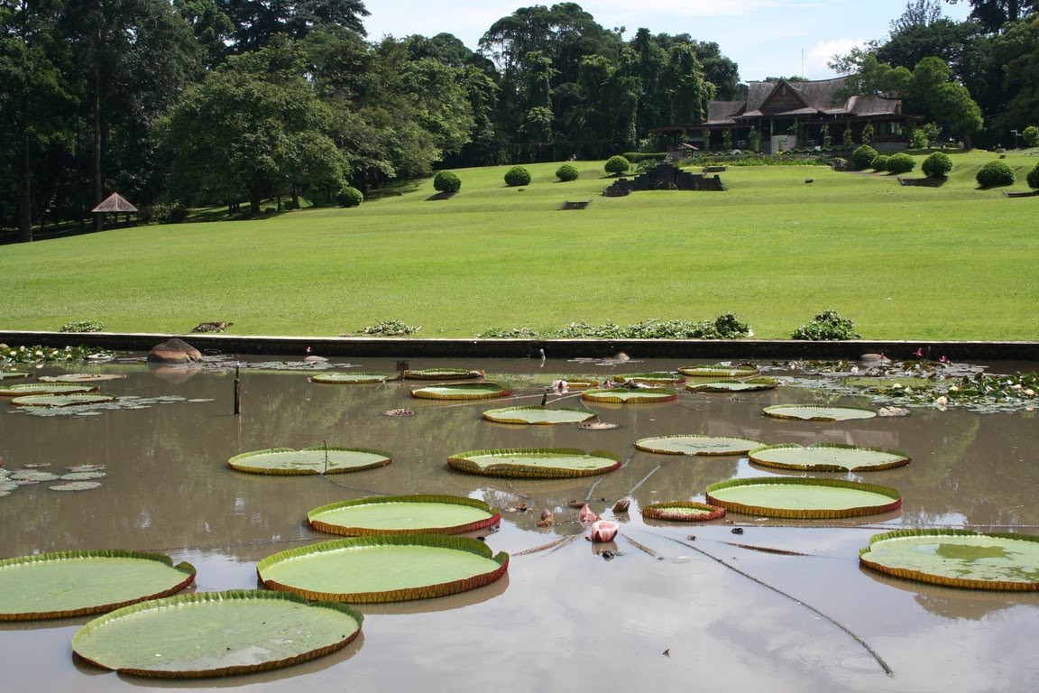 Indonesië Java Bogor botanische tuin