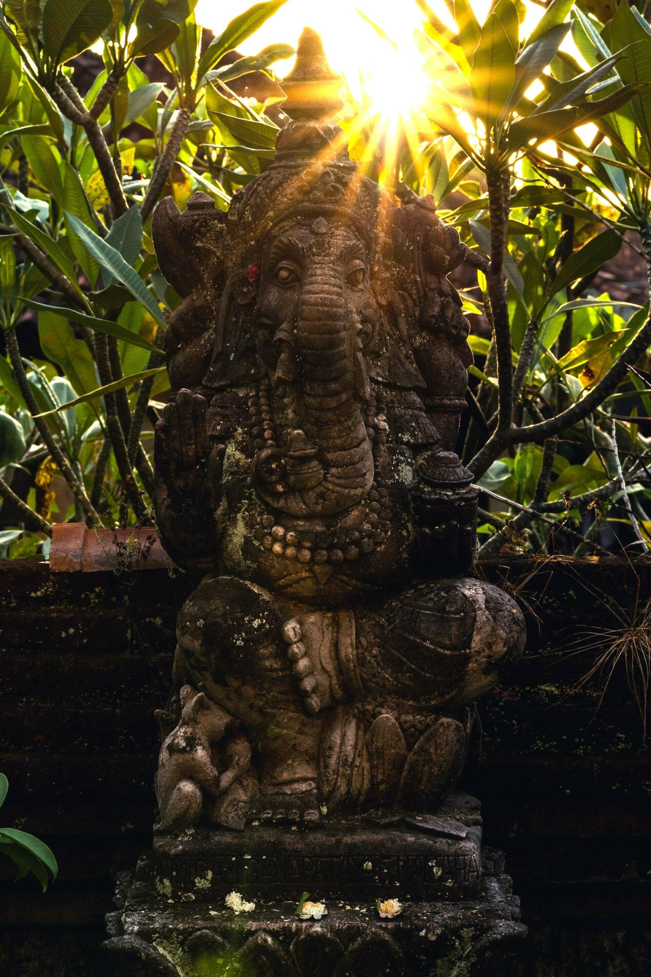 Ubud Cultuur Bali Indonesie zon