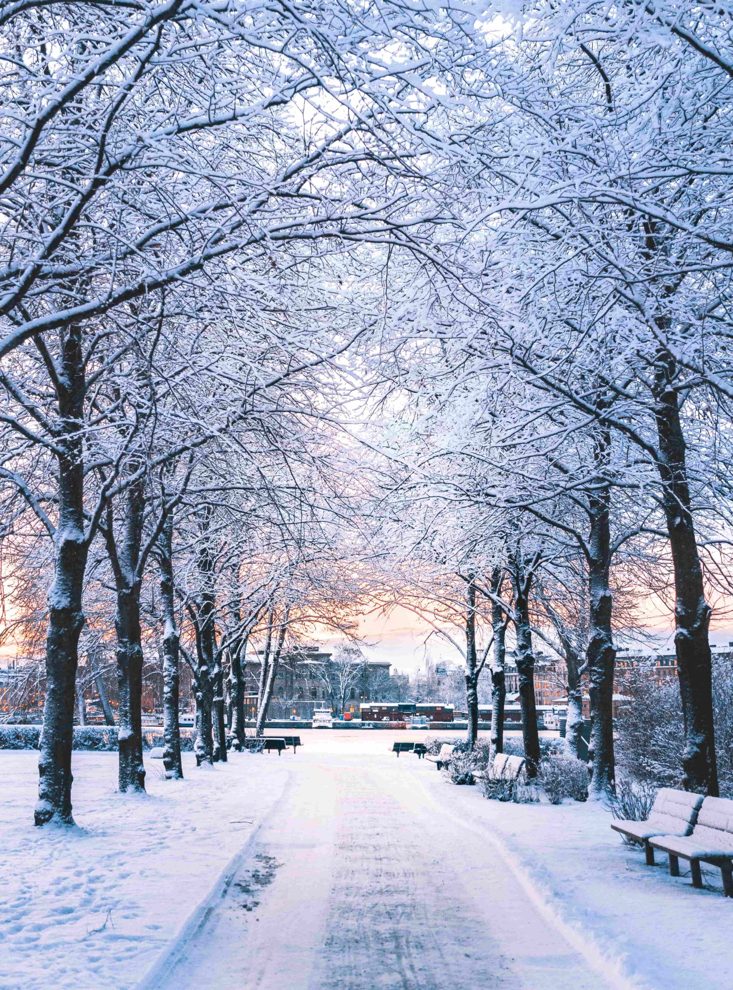 Stockholm Winter