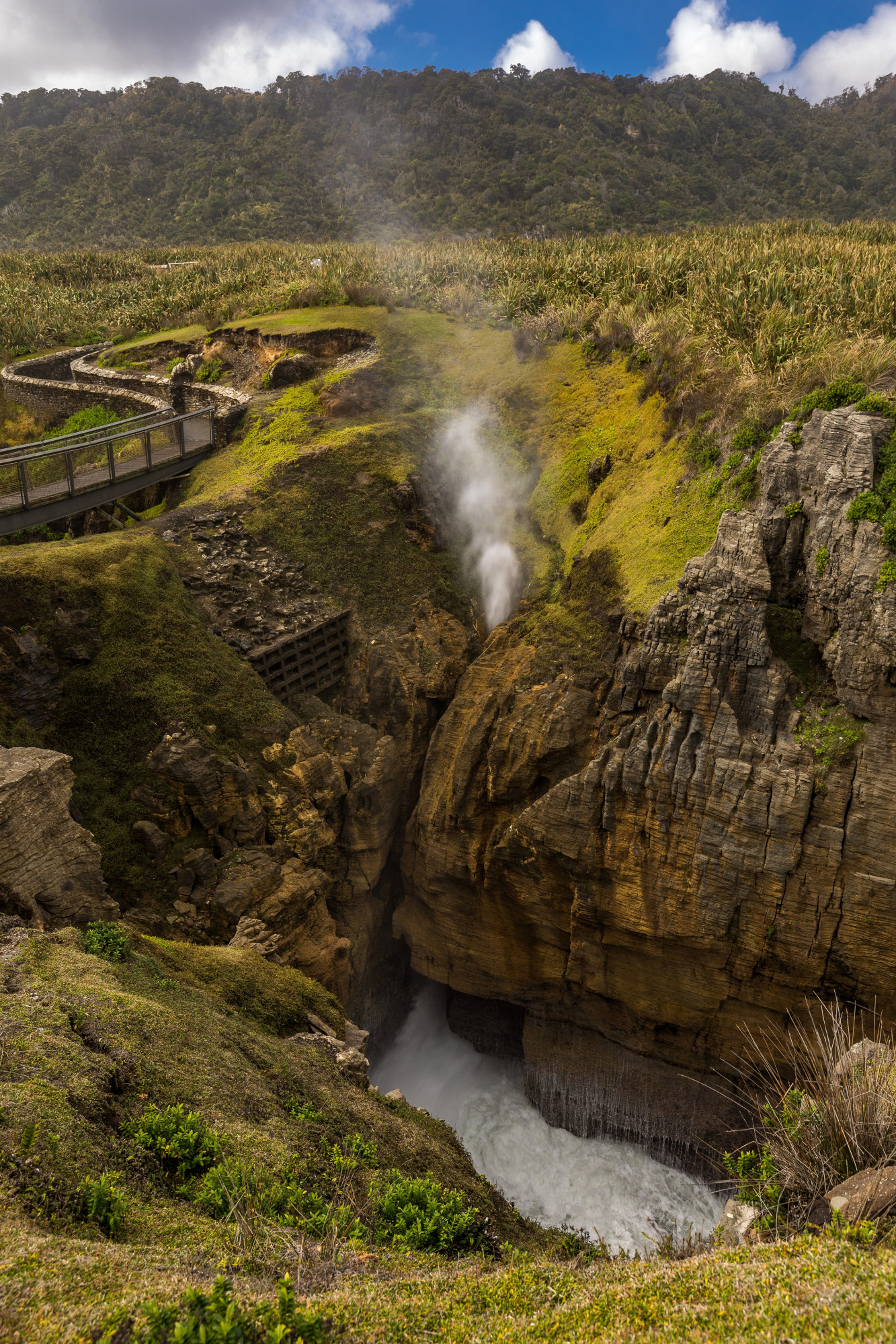 Nieuw Zeeland Punakaiki groen bomen water